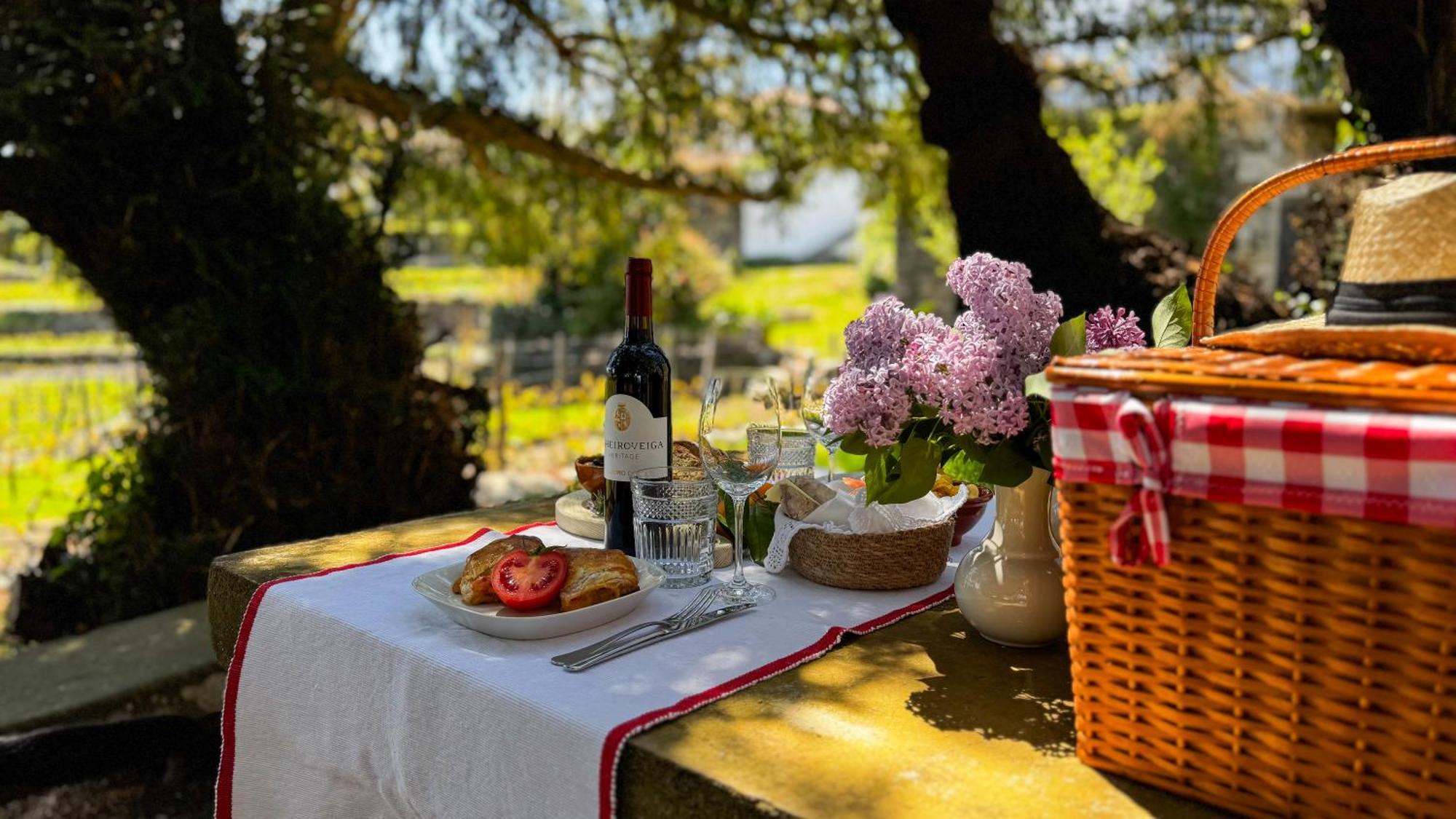 فيلا Casa Do Santo - Wine & Tourism Provesende المظهر الخارجي الصورة